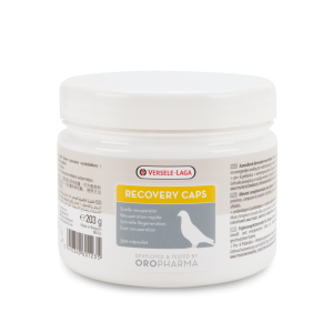 Oropharma Recovery Caps 350 Capsules - Capsules De Récupération - Pigeons